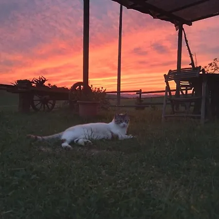 Farm stay Enjoy Sunset *
