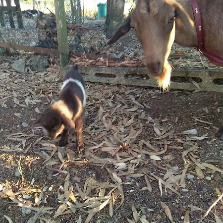 Enjoy Sunset Farm stay Colle Massari